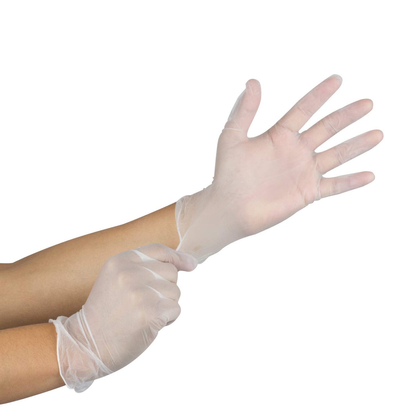 Vinyl Disposable Gloves Light Powder