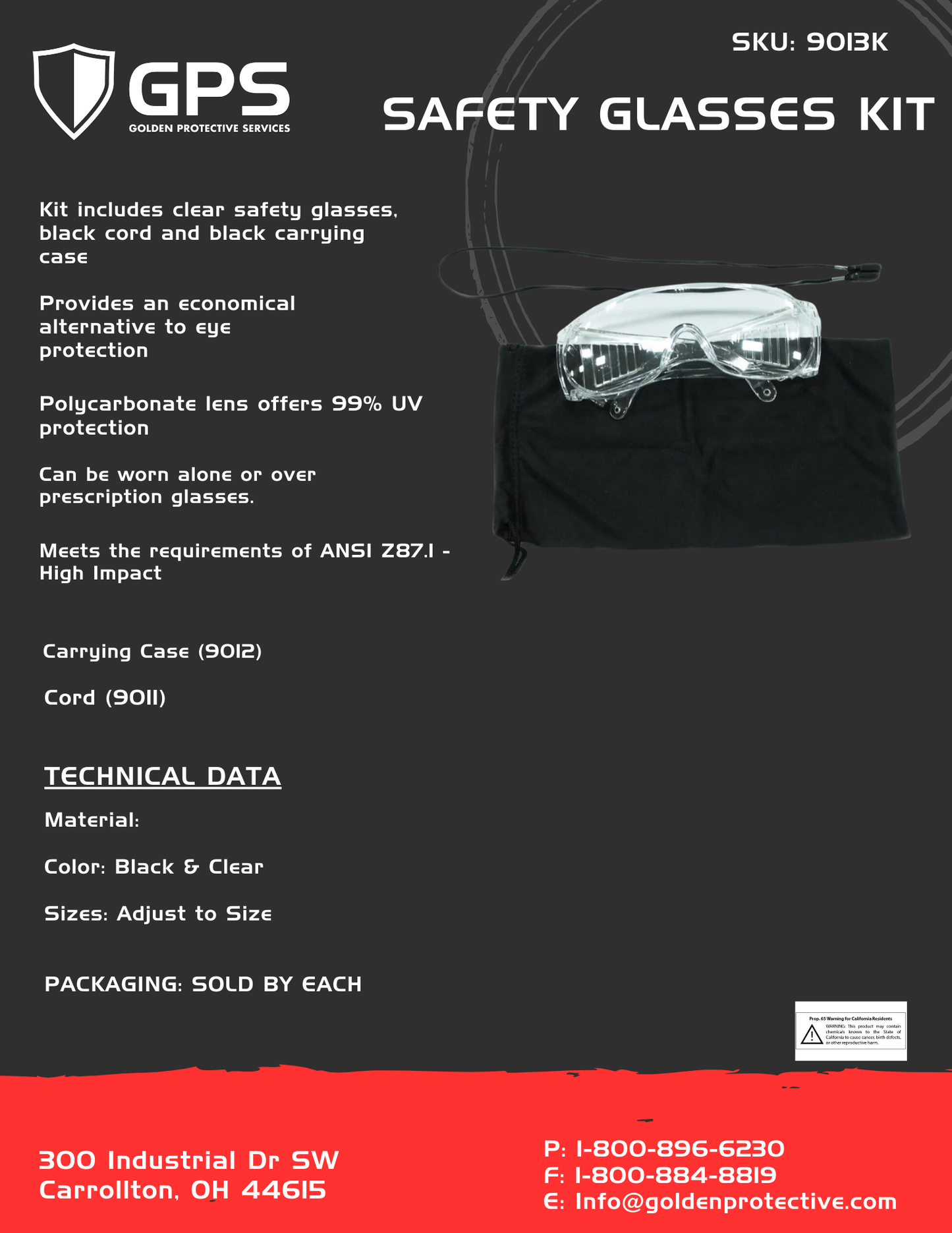 Safety Glasses Kit with Cord & Case