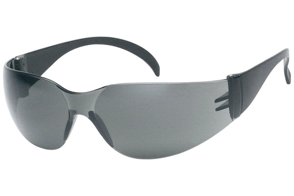 Tinted Safety Glasses Anti-Fog, ANSI Z87