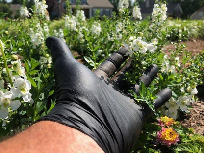 The Max Diesel™ Nitrile Disposable Glove Powder Free - Sizes MD-XXL - GPSFoodService